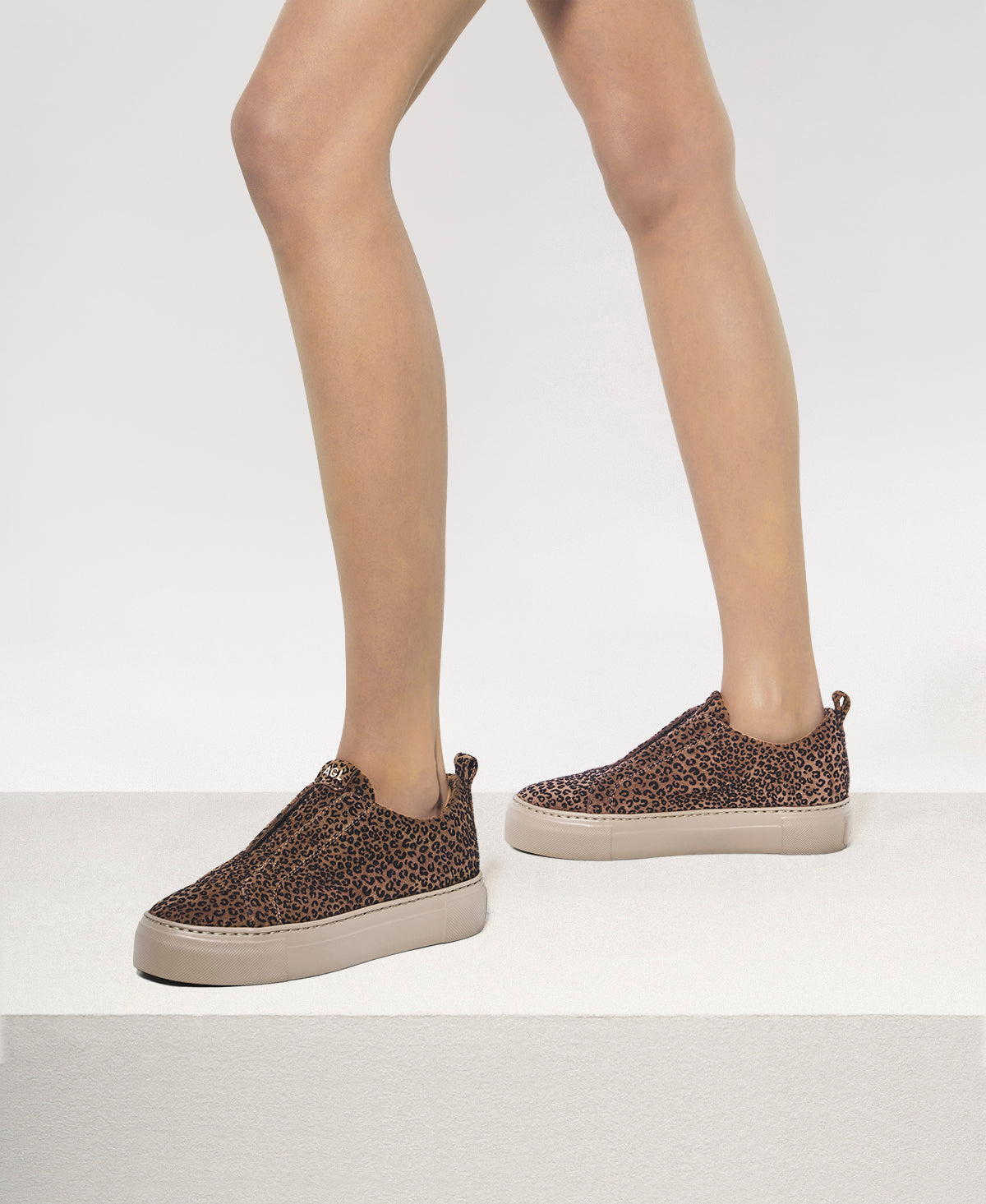 Clementina - 4