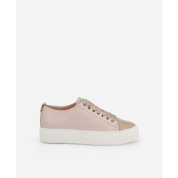 【モカ✨️✨️✨️】 Cap-toe sneaker Beige MOLLIE | AGL Shoes
